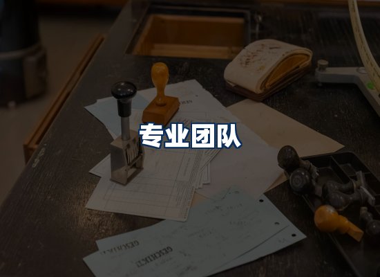 专业团队