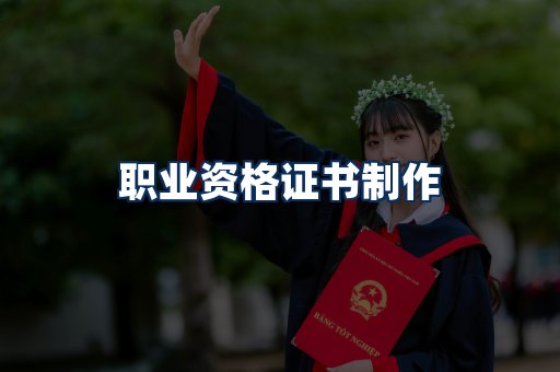 职业资格展示
